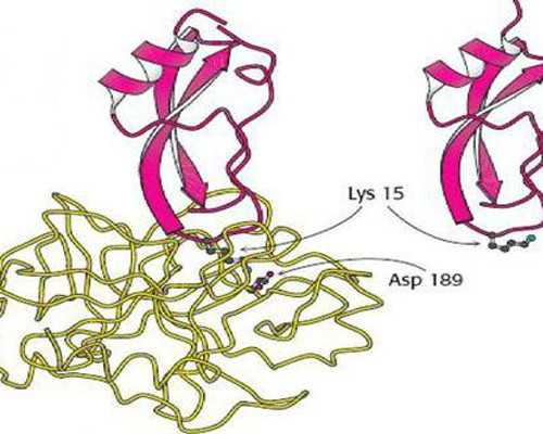 一切都是为了更好的相遇！ 零风险包成功代孕服务