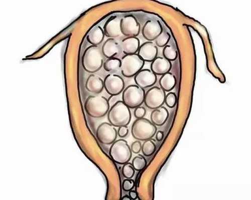 生殖遗传医院排名,供卵助孕医院