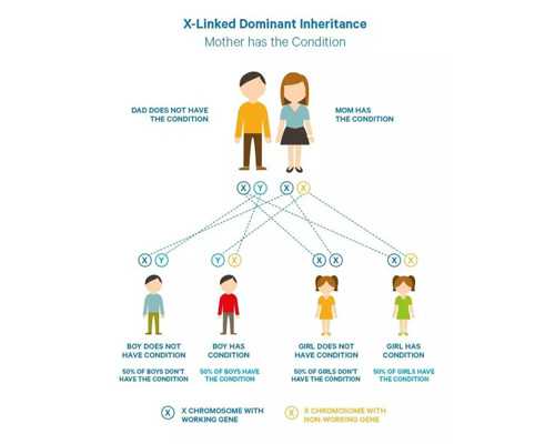 泰国试管那个医院好,助孕试管代怀
